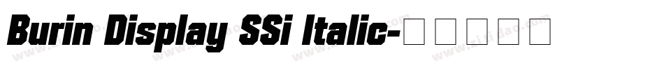Burin Display SSi Italic字体转换